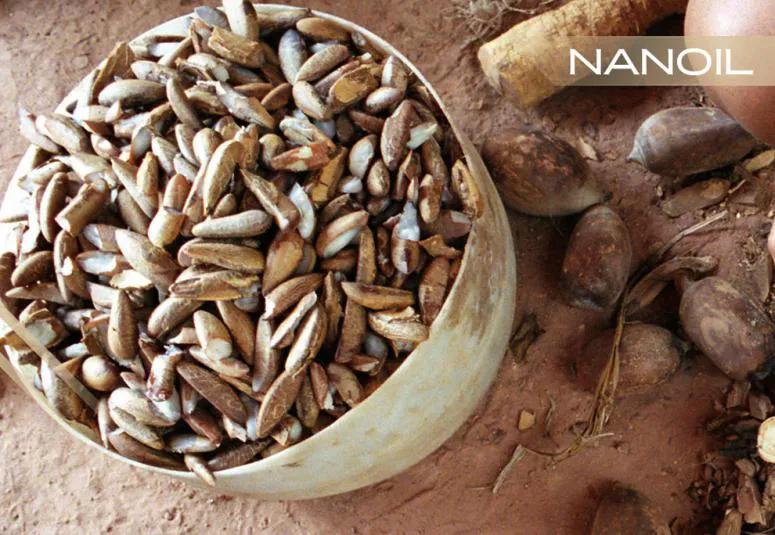 Масло от бабасу - висококачествена грижа за коса с ниска порьозност